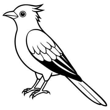 recommend clip art: cuckoo line art vector