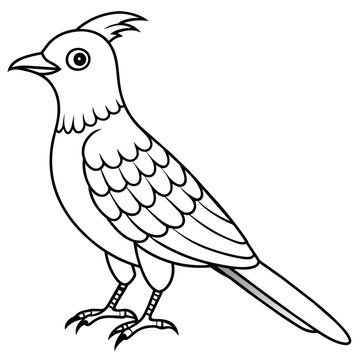 recommend clip art: cuckoo line art vector