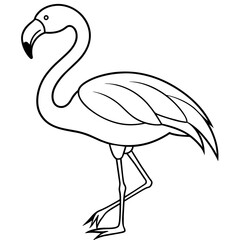 flamingo line art vector
