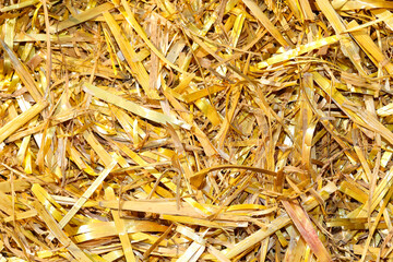 background of dry straw and hay in the stable
