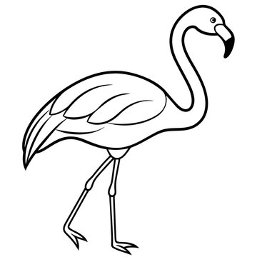 recommend clip art: flamingo line art vector