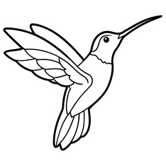 hummingbird line art vector