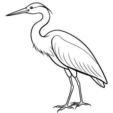 recommend clip art: heron line art vector