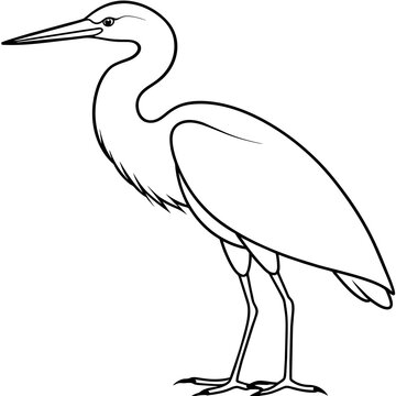 recommend clip art: heron line art vector