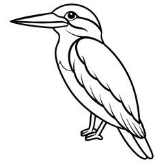 kookaburra line art vector