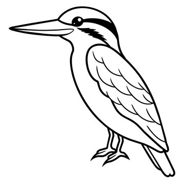 recommend clip art: kookaburra line art vector