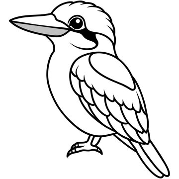 recommend clip art: kookaburra line art vector