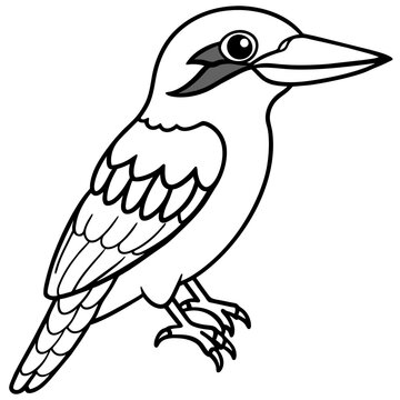 recommend clip art: kookaburra line art vector