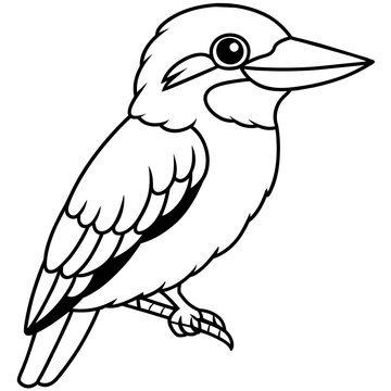 recommend clip art: kookaburra line art vector