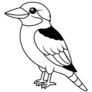 recommend clip art: kookaburra line art vector
