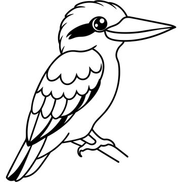 recommend clip art: kookaburra line art vector