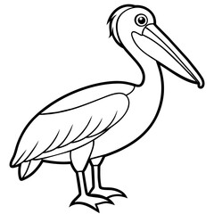 pelican line art vector