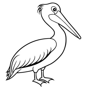 recommend clip art: pelican line art vector