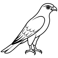 sparrowhawk line art vector