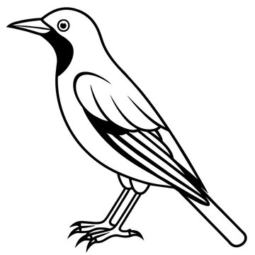 recommend clip art: starling line art vector