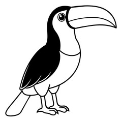 toucan line art vector