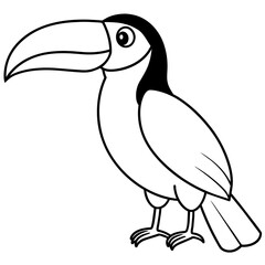 toucan line art vector