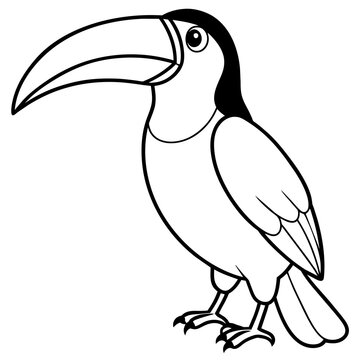 recommend clip art: toucan line art vector