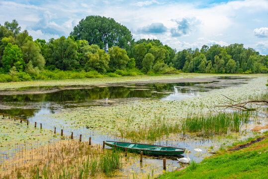 River Sava passing through Croatian countryside