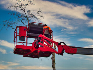 Pruner on cherry picker cutting tree in the air