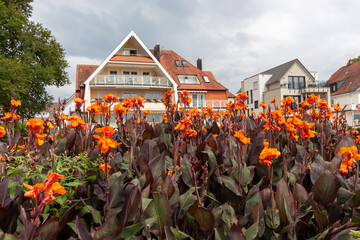 Flowers on the embankment of Langenargen, Bodensee, Baden Wuerttemberg - obrazy, fototapety, plakaty