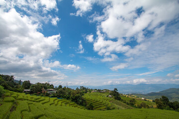Fototapeta na wymiar Rice terraces, local way of life