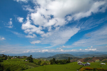 Rice terraces, local way of life - 779387736