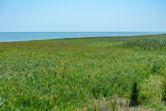 Summer day at Danube delta in Romania