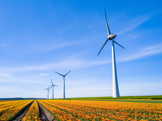 Windmill park in a field of tulip flowers, aerial view of windmill turbines generating green energy