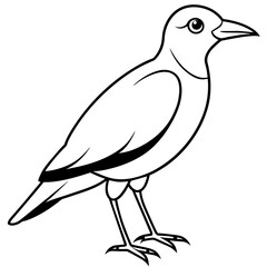    Bird vector illustration with line art.