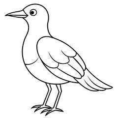    Bird vector illustration with line art.