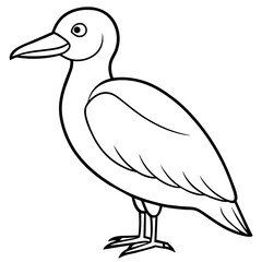    Bird vector illustration with line art.