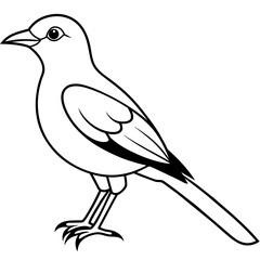    Bird vector illustration with line art.