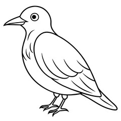    Bird vector illustration with line art.