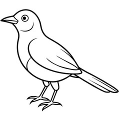    Bird vector illustration with line art.
