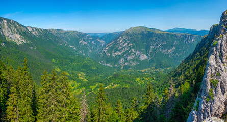 Naklejka premium Tara river valley viewed from Durmitor national park in Montenegro