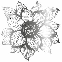 Flower drawing for holiday decoration.