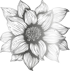 Flower drawing for holiday decoration.