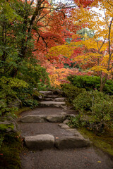 Autumn's Splendid Tapestry: A Symphony of Fall Colors