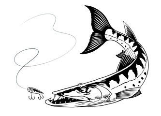 Illustration of Barracuda Fish Catching the Fishing Lure