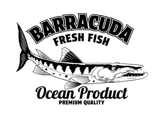 Shirt Design of Barracuda Fish in Black and White Vintage