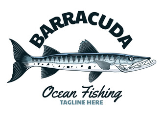 Shirt Design of Barracuda Fishing