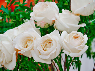 White roses sometimes seem sad