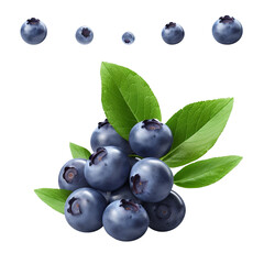 Set of blueberries and blueberry leaves isolated on white background with clipping path