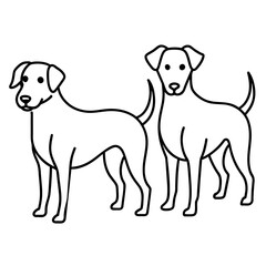 Dog vector