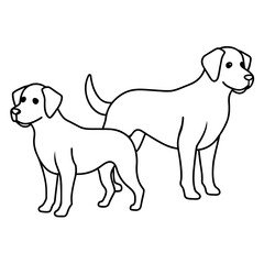 Dog vector