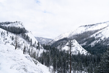 snow mountain valley with road and pine trees