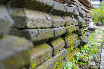 stone wall with moss