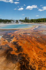 Nature's Palette: The Stunning Colors of Yellowstone National Park