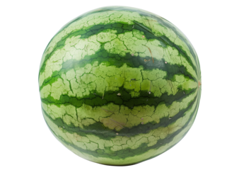 fresh Watermelon isolated for a transparent white background